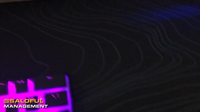 VIABLE GAMING SETUP TOURS ($100,000)