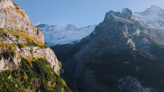 Послушайте эту музыку и вам станет легче🌿 Нежная музыка,успокаивает нервную систему и радует душу