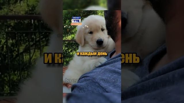 Искренняя радость от встречи😍❤️#жизненныеистории #историиизжизни #радость #встреча #милота