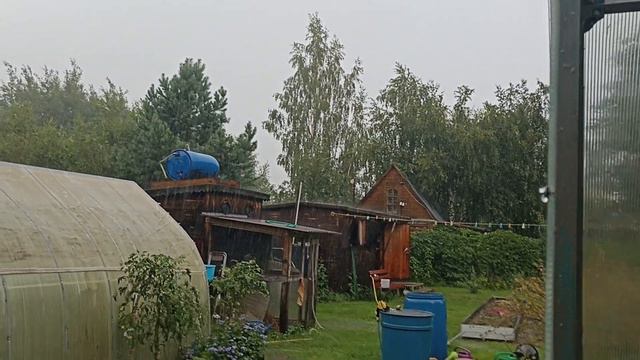 2 августа Московская обл Дождя не будет