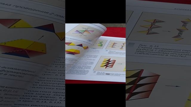 Рубцы и их коррекция. Очерки пластической хирургии. Т.1