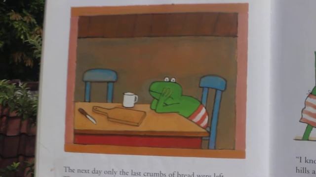 Frog Is A Hero