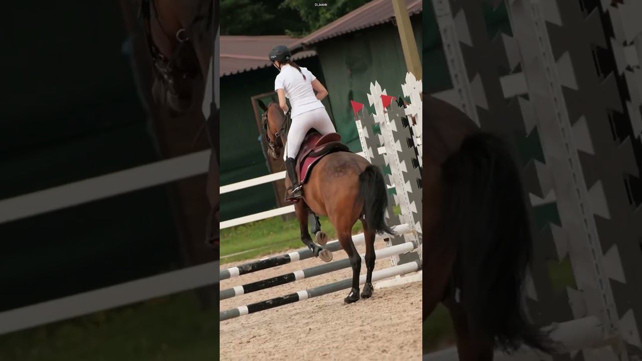 Конкур прекрасен. #конкур #лошади #соревнования #shorts
