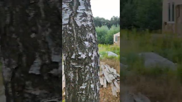 Раменский район. д. п. Удельная ул. Ольховая, уч. 15. площадт 14 соток