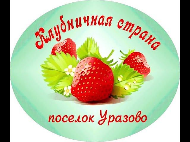 Концертная программа в рамках VIII открытого гастрономического офлайн-фестиваля «Клубничная страна»