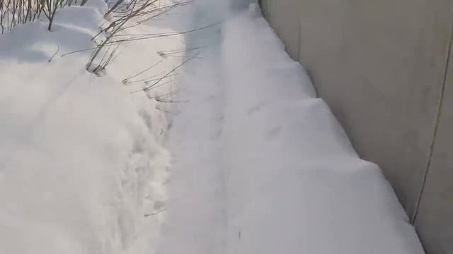 Спасибо за поздравления