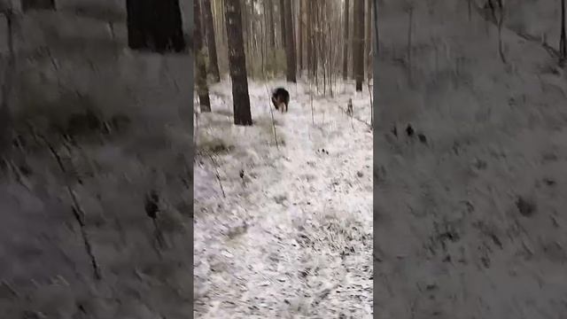 Снова зима
