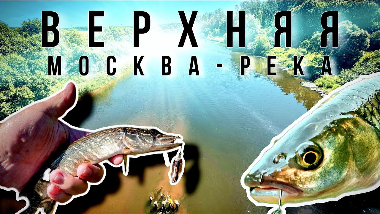 Верхняя Москва-Река. Голавль Опять Ест "Фуку"