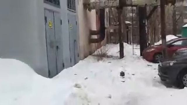 Саратовцы 
