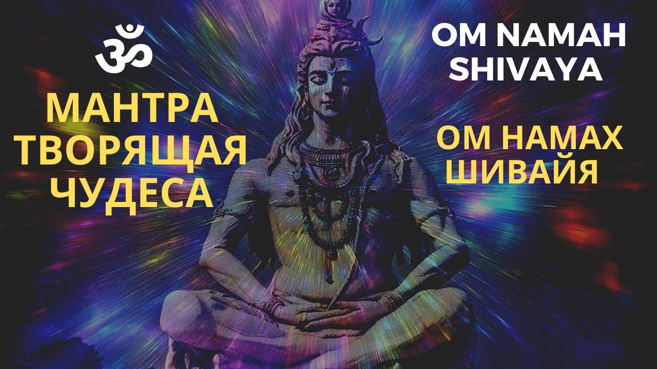 Смотреть видео онлайн