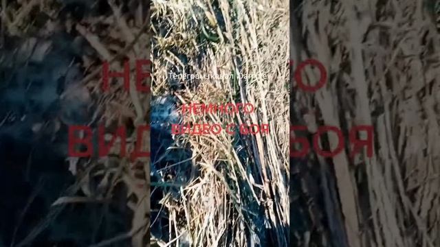 Хроники СВО Красная гора Артемовское направление