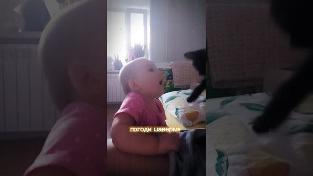 Мы в ТГ: family_yemely   
#дети #baby #семья #котики #кошка