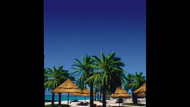 faried  sharm el sheikh  شرم الشيخ