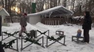 Догтренинг 698. Пудель и далматин - парный урок.