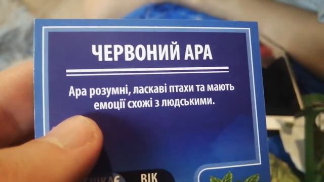 Акция варус зверокуб  дикие животные, соберём 5 наклеек, отправим карточки подписчикам.