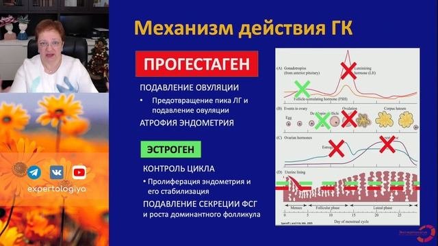 Тонкий эндометрий L Пустотина О. А.