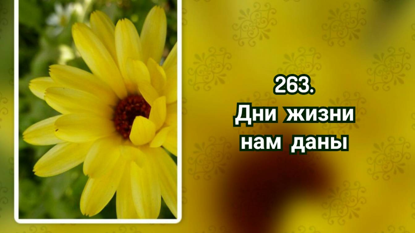 Гимны надежды 263 Дни жизни нам даны (-)