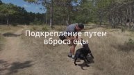 Обозначение. Частные случаи. Подкрепление путем вброса еды