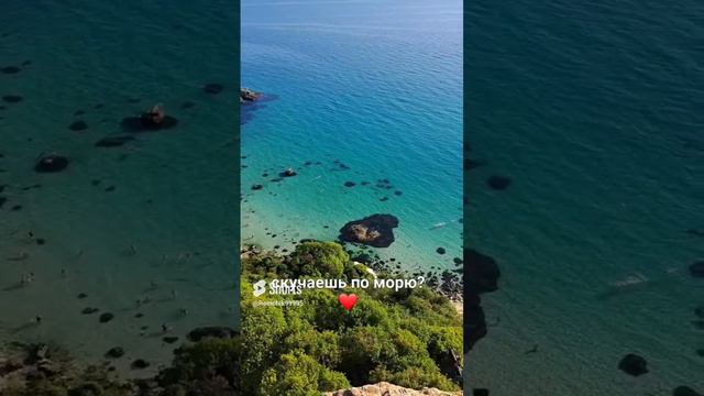 Крым #море #природа  #дорога  #отпуск #лес #отдых  #крым #shorts #shortsvideo #short #reels