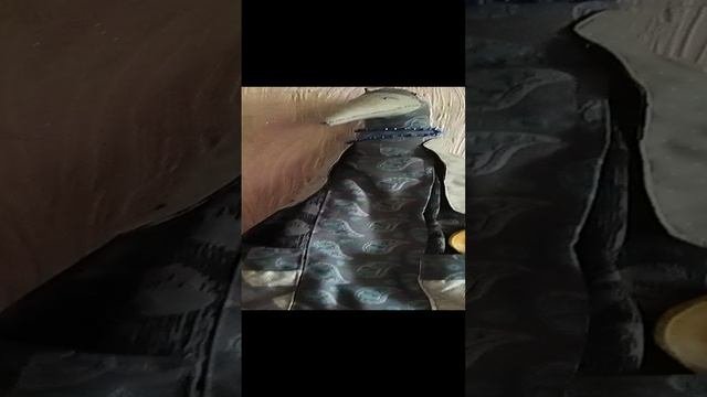 Пакетница Ворона