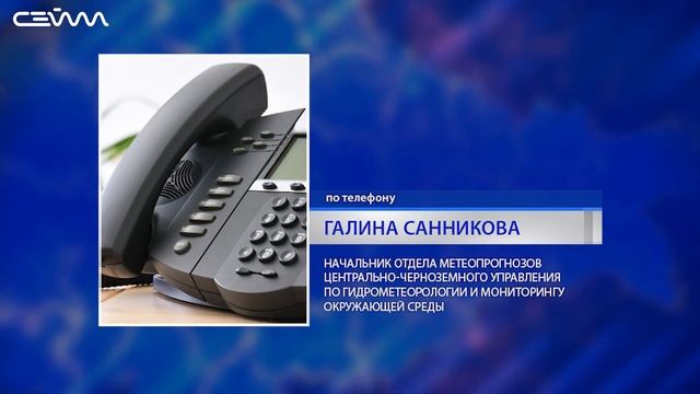 В Курской области снова аномальная погода