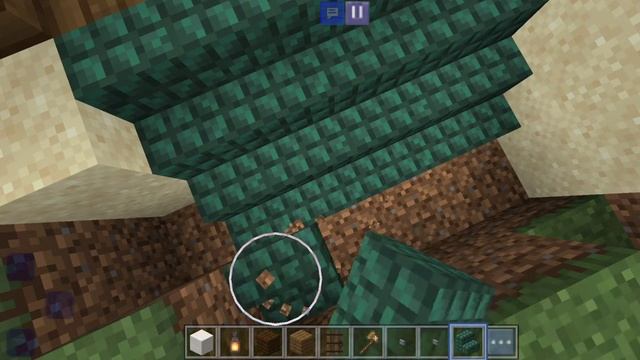 Достроил дом в майнкрафте