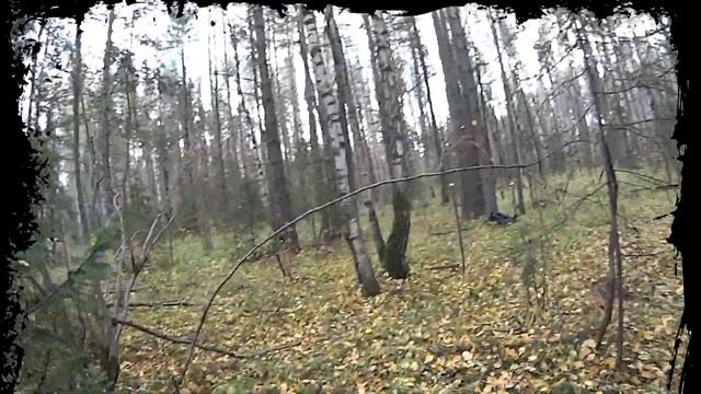 TR9 и 345ТК в осеннем лесу