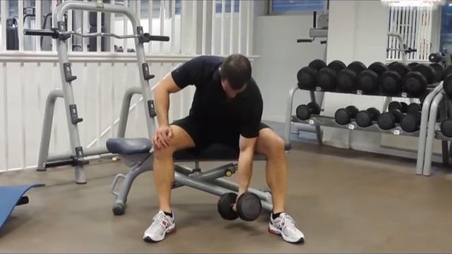 41. BICEPS - Curl Con Mancuerna Concentrado