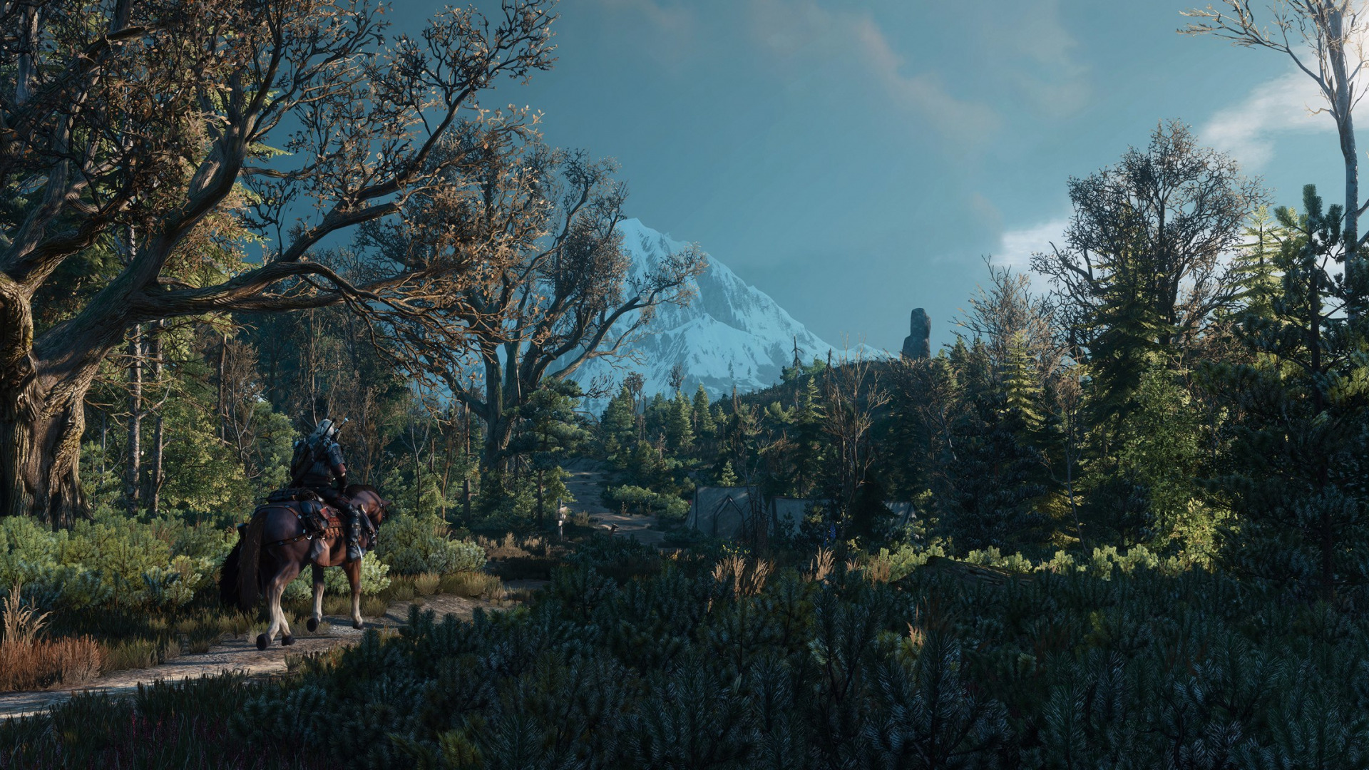 The witcher 3 обои full hd фото 110