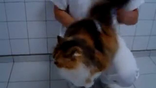 Котобубен