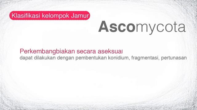 SMA Biologi - Jamur: Ascomycota
