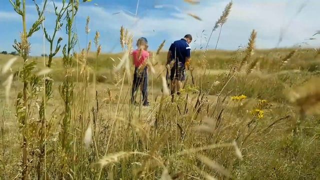 #Харьков Крепость звезда #КрепостиЗвезды Орловская крепость звезда