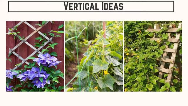 ☕ Saturday Morning LIVE Garden Chat - SGD 312 ☕