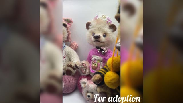 New bears for adoptionn
