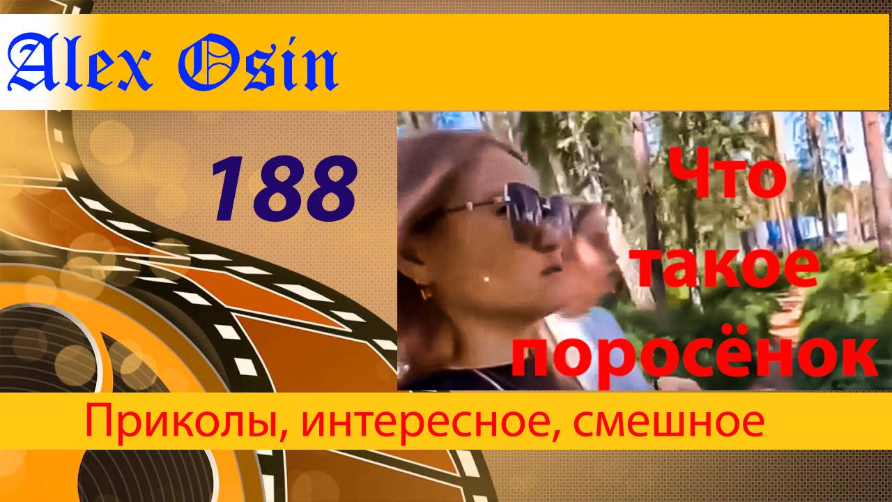 Что такое поросёнок. Выпуск 188