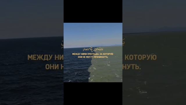 Сура 55 "Ар-Рахман" (Милостивый) Аяты 17-23. Красивое чтение Корана