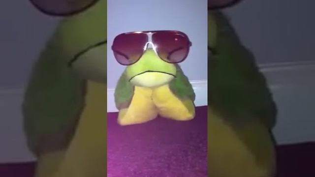 Turtle Soup