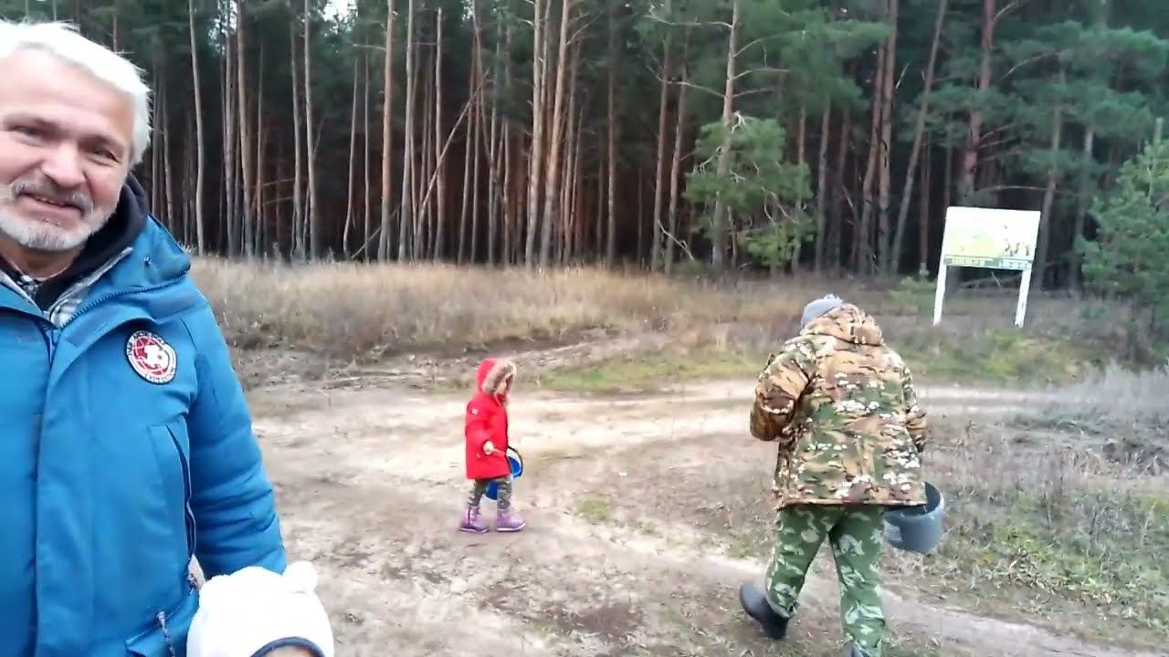 Закрываем грибной сезон...