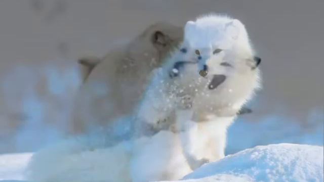 север