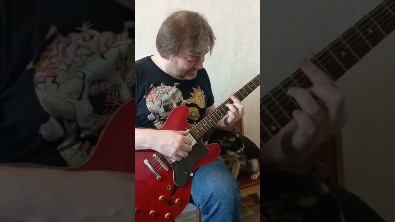 ДЖАЗ ДЛЯ ПЁСИКАПОДПИШИСЬ НА КАНАЛ#гитара #guitar #music #музыка #песни #song #кавер #jazz