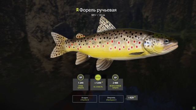Русская рыбалка 4//р.Белая-Форель\\Russian Fishing 4