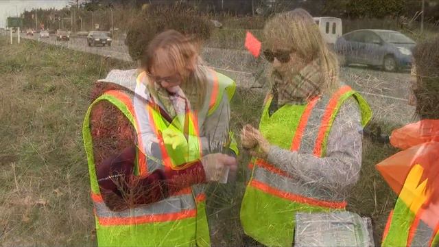Adopt a Highway Volunteer Safety Tips