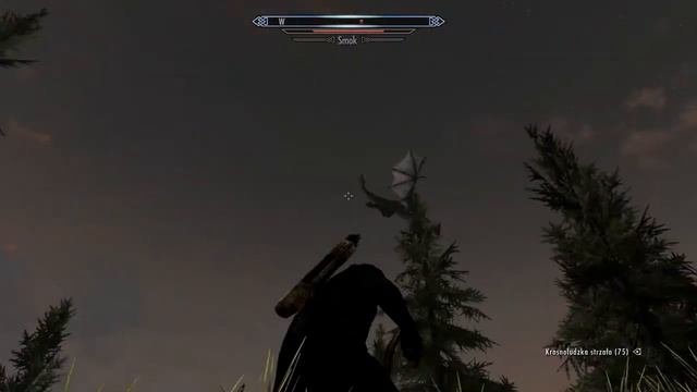 Skyrim- Dragon Vs Me & Dragon !
