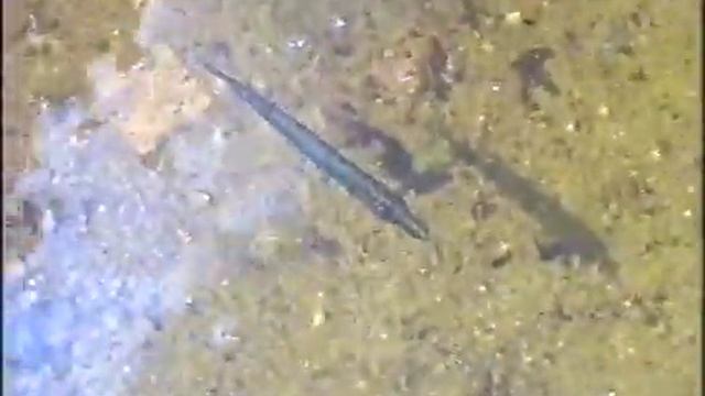 Край лесов и озер.