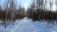 Путевые очерки: #1 Лыжная прогулка в лесу