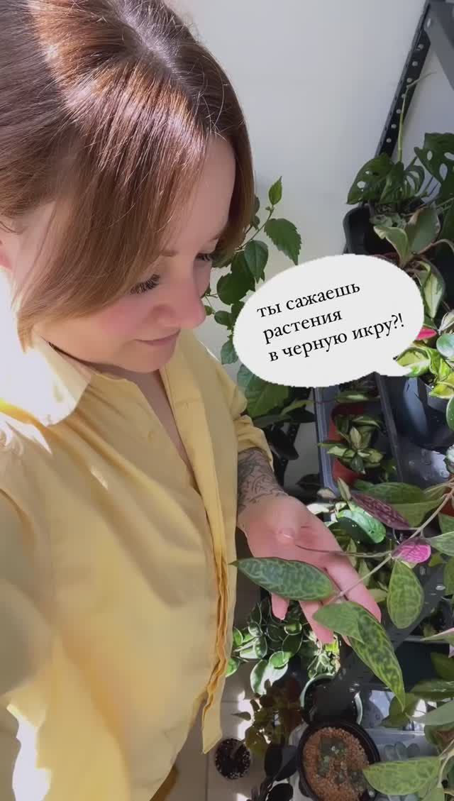 🌿блог о растениеводстве, свободном от границ и рамок 😁