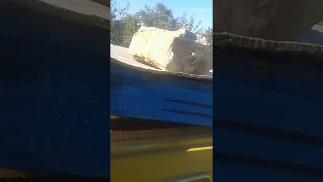 Пчеловодство