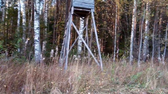 ПРОПАДАЮТ ПОДПИСЧИКИ! ЧТО ЭТО БЫЛО?!