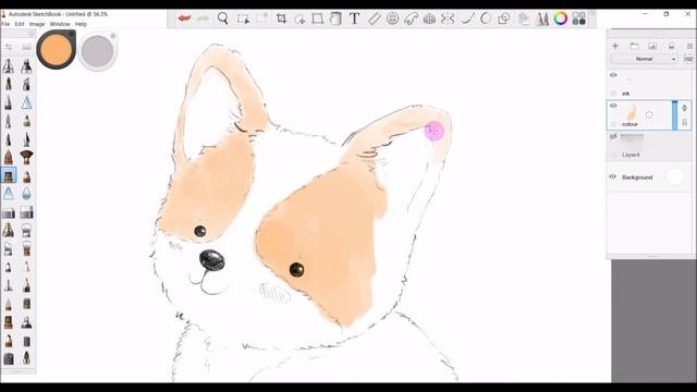 How To Draw A Cute Dog  Digital Illustration tutorial using Autodesk Sketchbook Pro