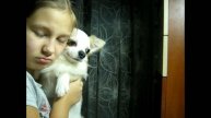 Вещи которые я делаю каждый день